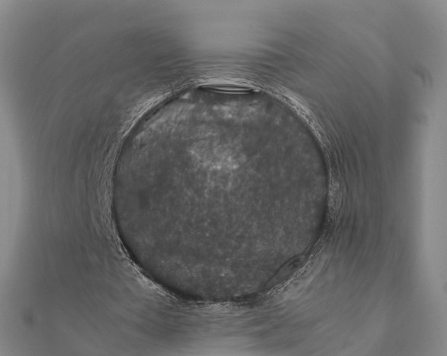 X0000112110385200908181352