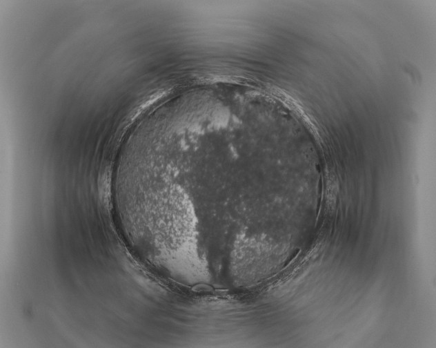 X0000112110386200908181352