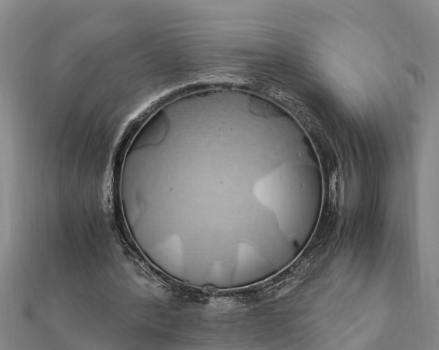 X0000112110388200908181352