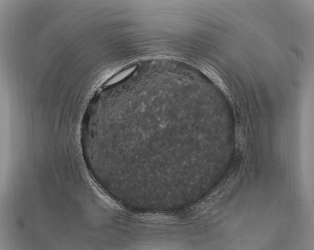 X0000112110389200908181352