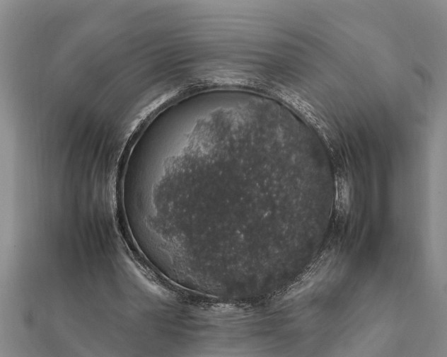 X0000112110390200908181352