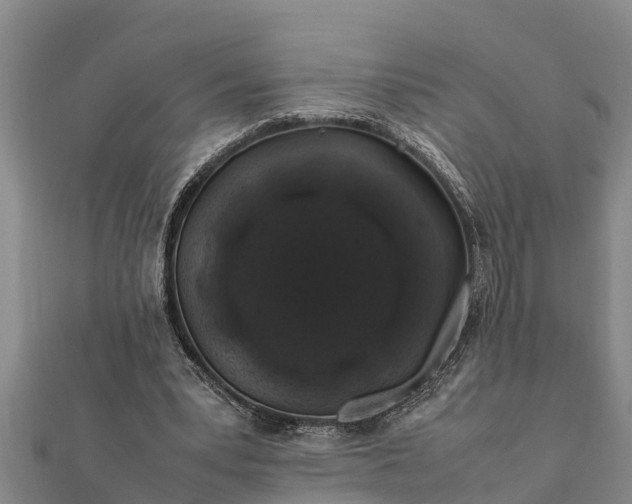 X0000112110391200908181352