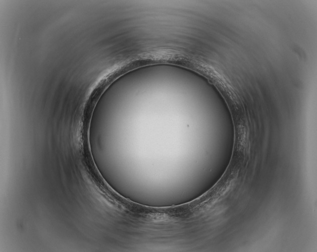 X0000112110392200908181352