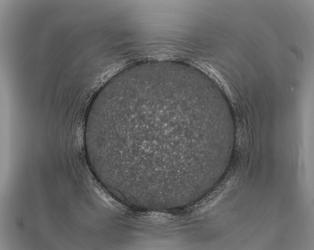 X0000112110393200908181352