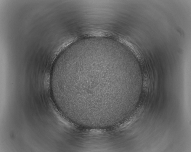 X0000112110394200908181352