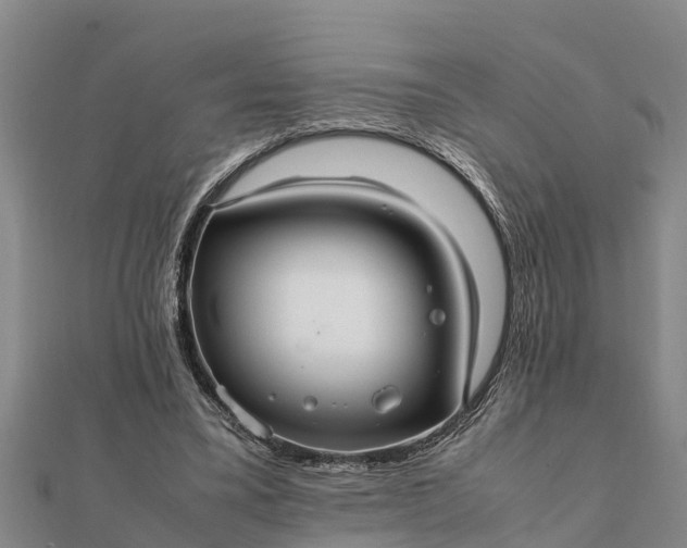 X0000112110395200908181352