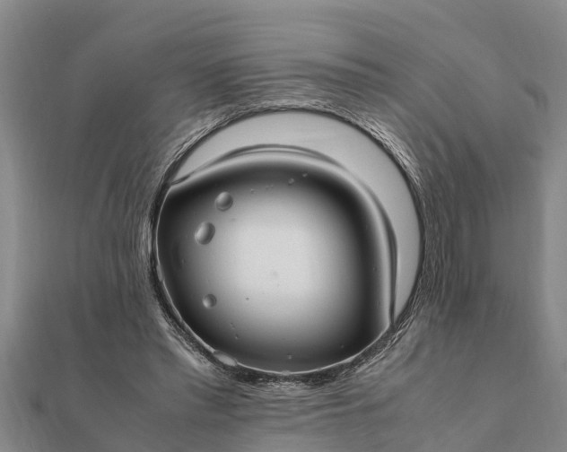 X0000112110397200908181352