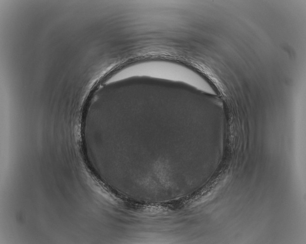 X0000112110399200908181352