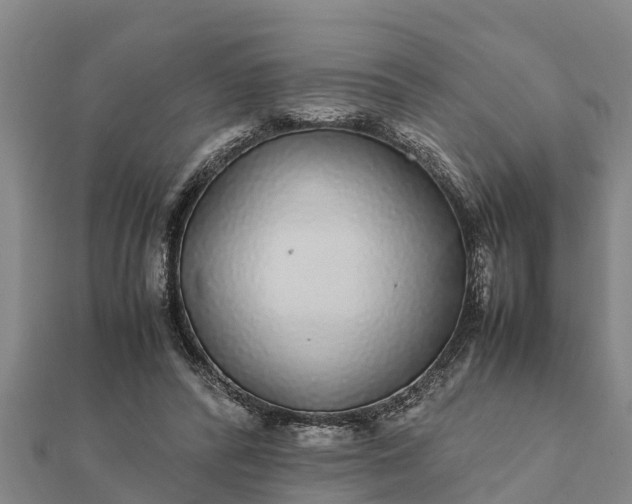 X0000112110400200908181352