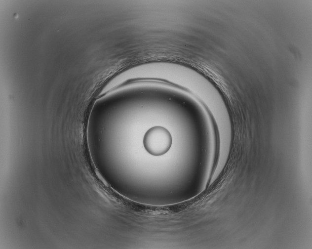 X0000112110401200908181352