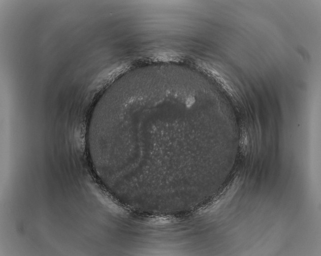 X0000112110402200908181352