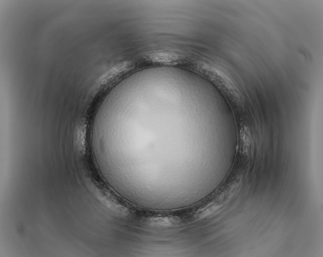 X0000112110404200908181352