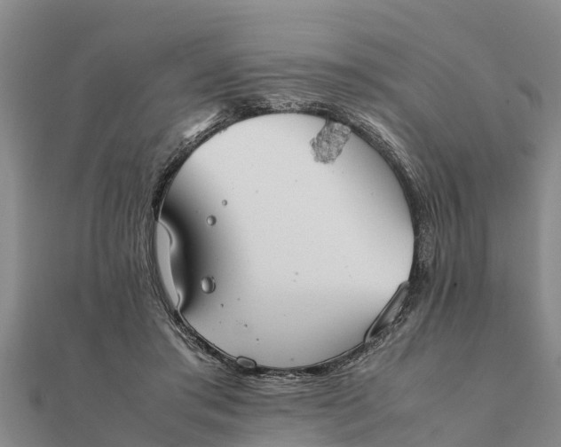 X0000112110405200908181352