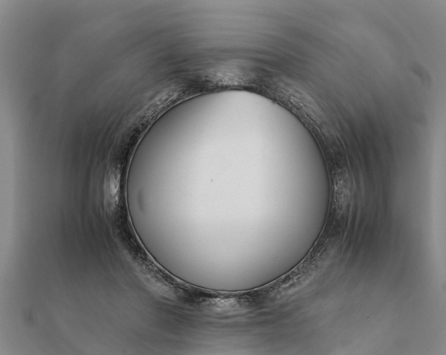 X0000112110406200908181352