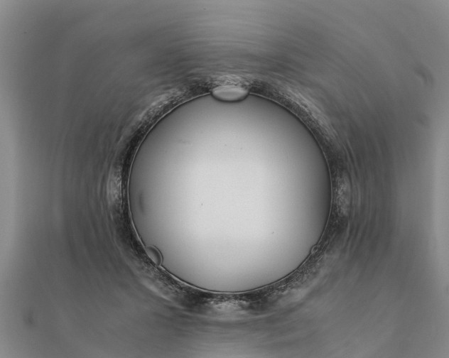 X0000112110407200908181352