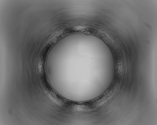 X0000112110408200908181352