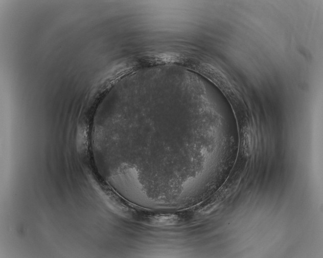 X0000112110410200908181352