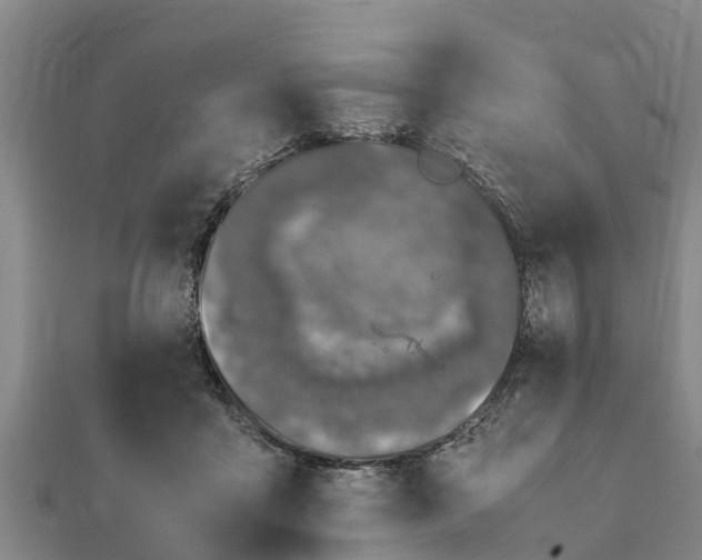 X0000112110411200908181352