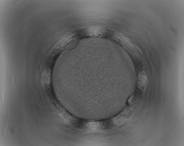 X0000112110413200908181352