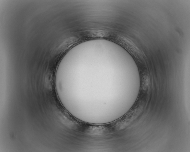 X0000112110414200908181352