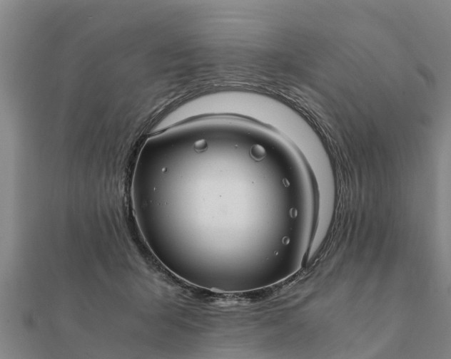 X0000112110415200908181352