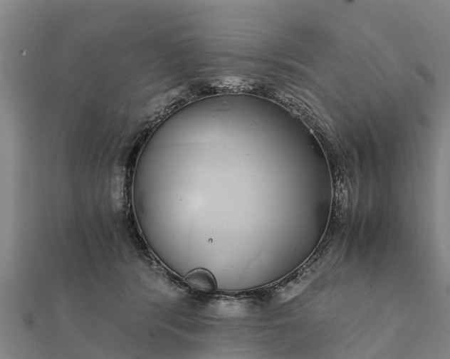 X0000112110416200908181352