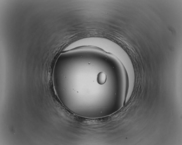 X0000112110417200908181352