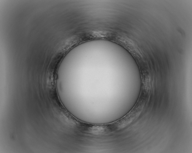 X0000112110418200908181352