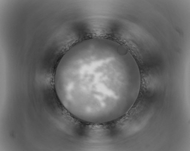 X0000112110419200908181352