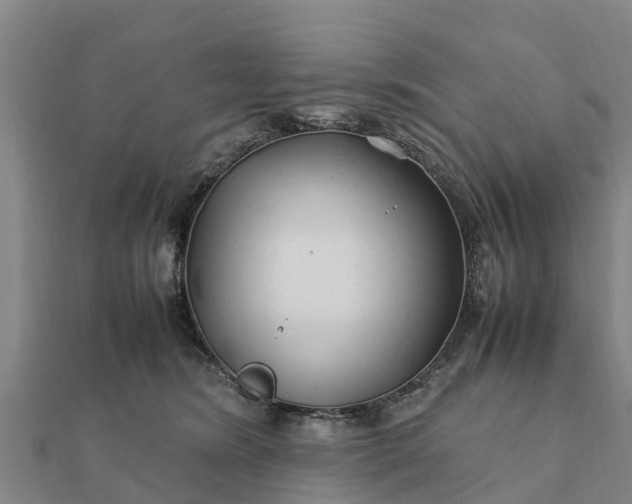 X0000112110420200908181352