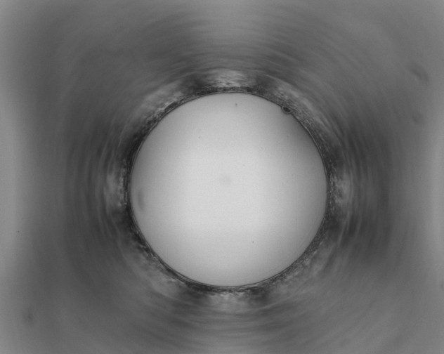 X0000112110422200908181352