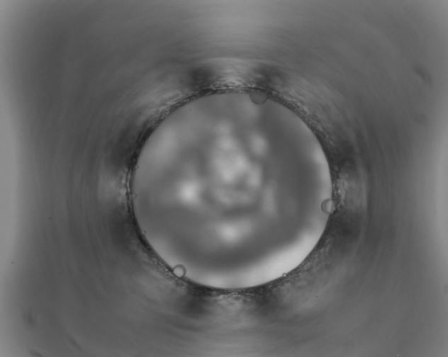 X0000112110423200908181352