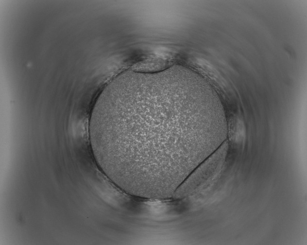 X0000112110425200908181352