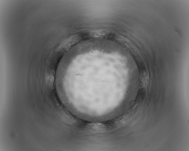 X0000112110427200908181352