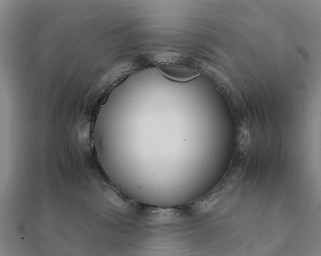 X0000112110428200908181352