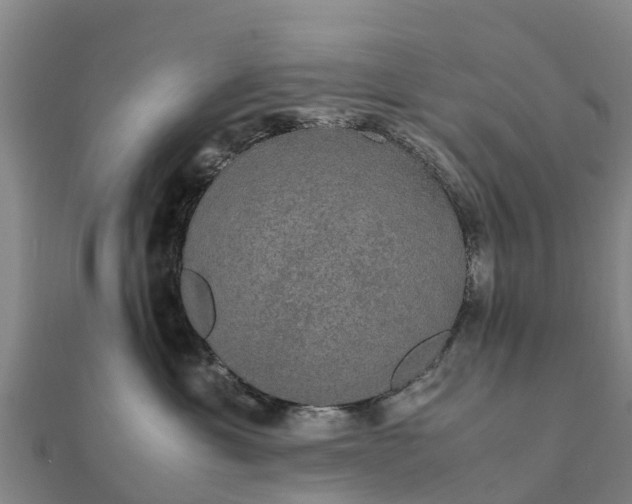 X0000112110429200908181352