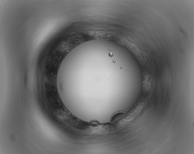 X0000112110430200908181352