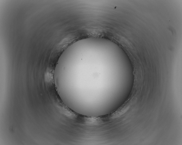 X0000112110432200908181352