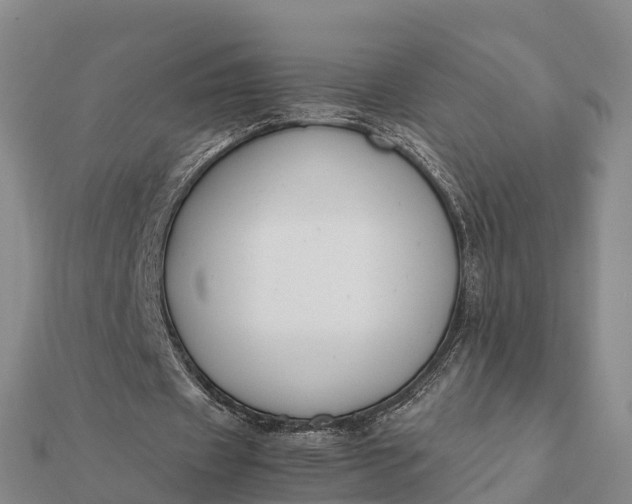 X0000112110433200908181351