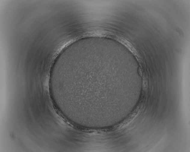 X0000112110434200908181351