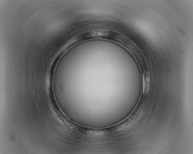 X0000112110435200908181351