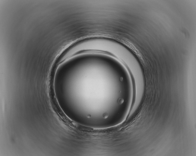 X0000112110436200908181351