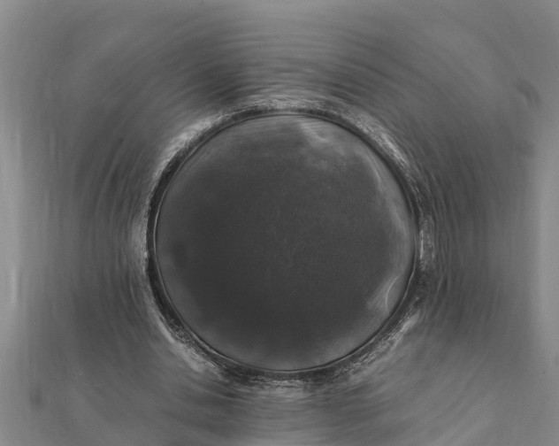 X0000112110438200908181351