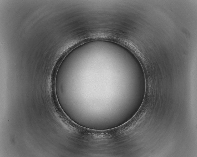 X0000112110439200908181351