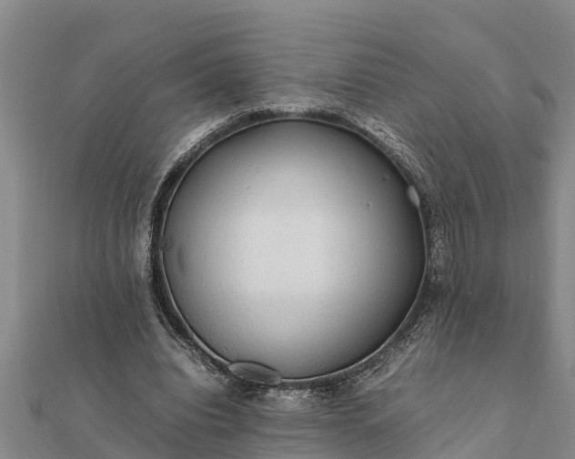 X0000112110440200908181351