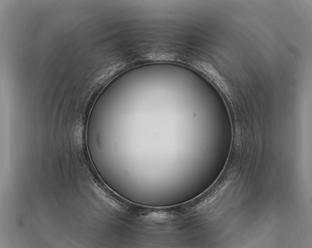 X0000112110441200908181351