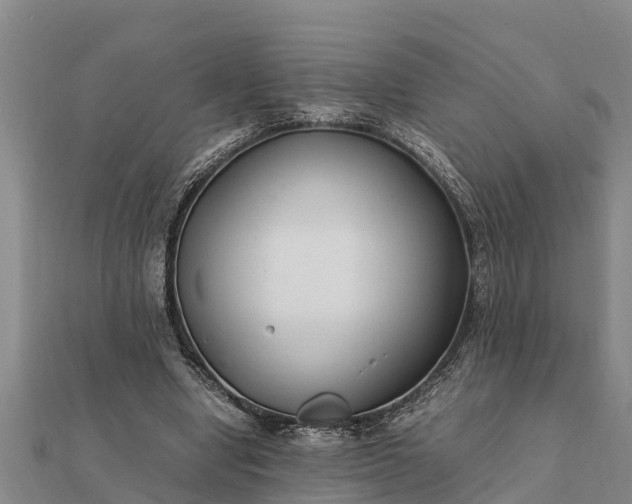 X0000112110442200908181351