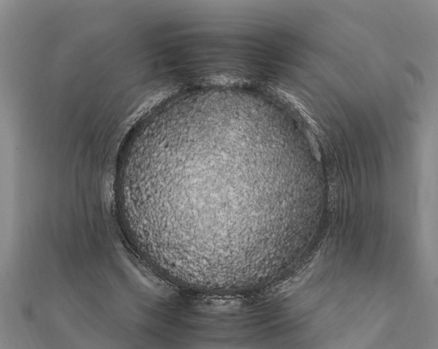 X0000112110443200908181351