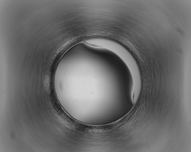 X0000112110444200908181351