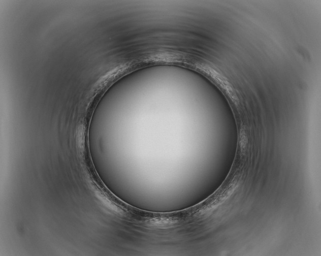 X0000112110445200908181351